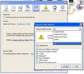 Vymazání cache prohlížeče - Fire Fox